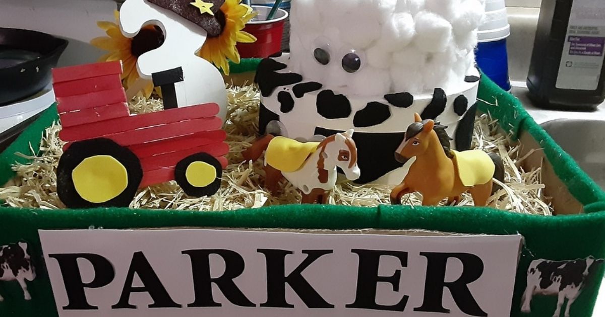 DIY Birthday Box display farm themed and PARKER in front