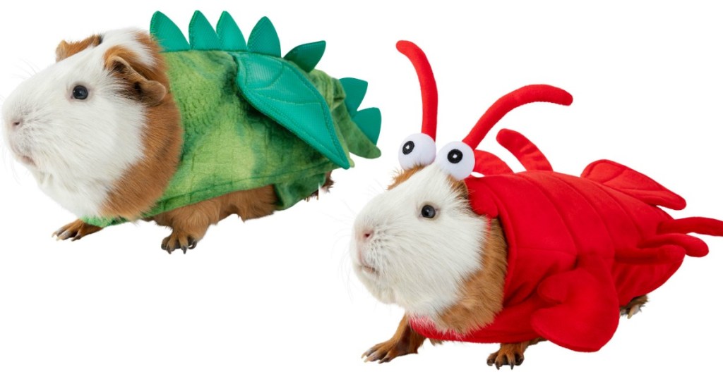 guinea pigs wearing dragon and lobster halloween costumes