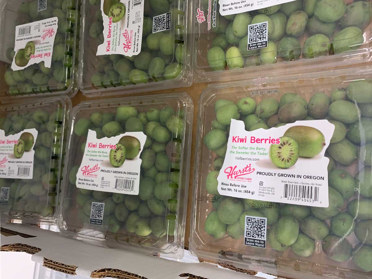 containers of kiwi berries