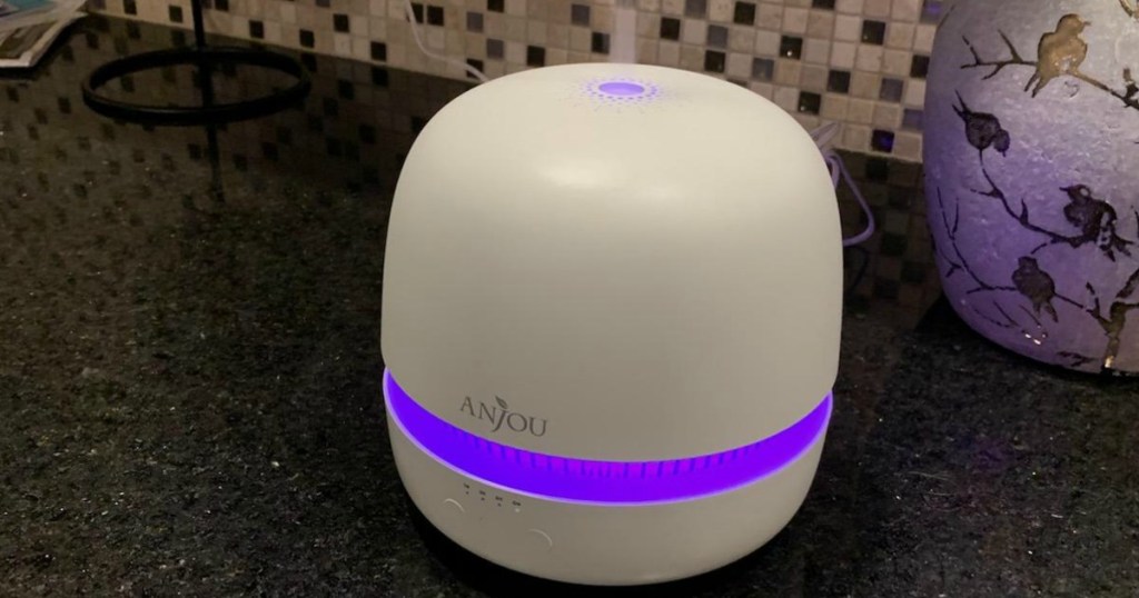 Anjou oil diffuser