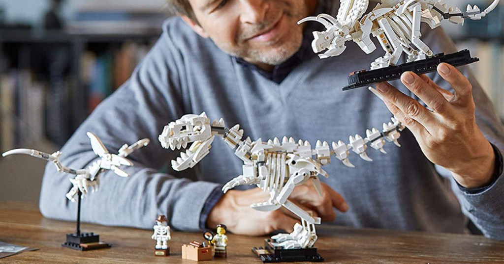 man holding dinosaur fossil building kit