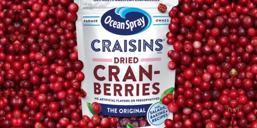 Ocean Spray Dried Cranberries 12-Pack Just $17 Shipped on Amazon (Regularly $28)