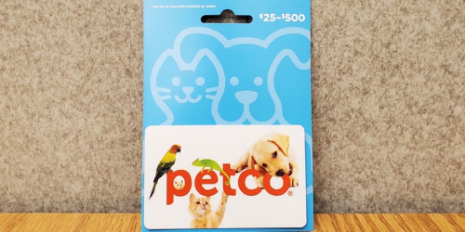 NEW Amazon Discounted Gift Cards | Petco, Nautica, Under Armour, & More!