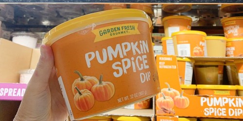 HUGE Tub of Pumpkin Spice Dip Only $5.39 at Costco