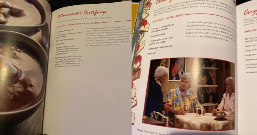 golden girls cookbook opened to two recipes