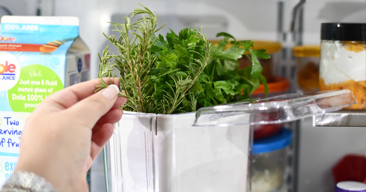 grabbing fresh rosemary from herb keeper