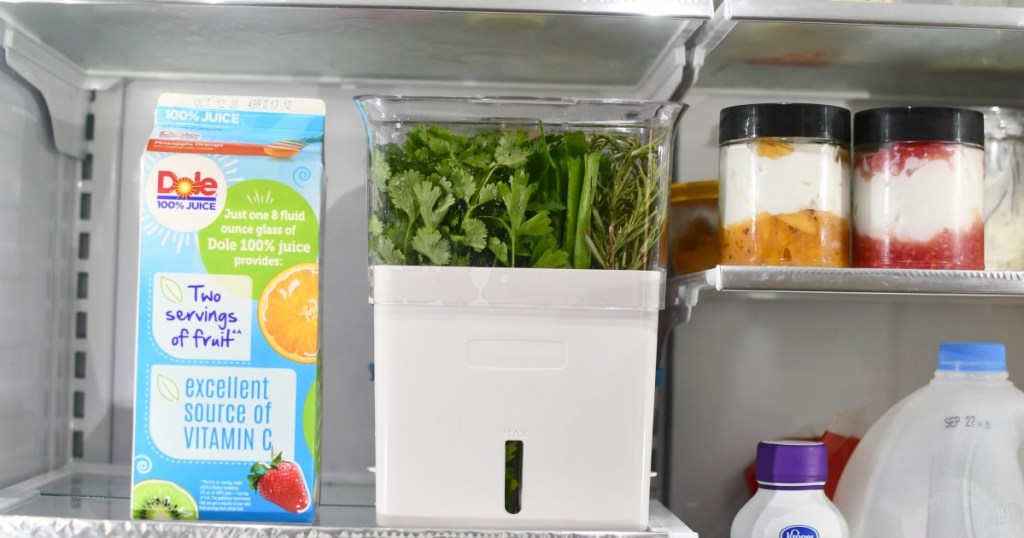 herb keeper in the fridge