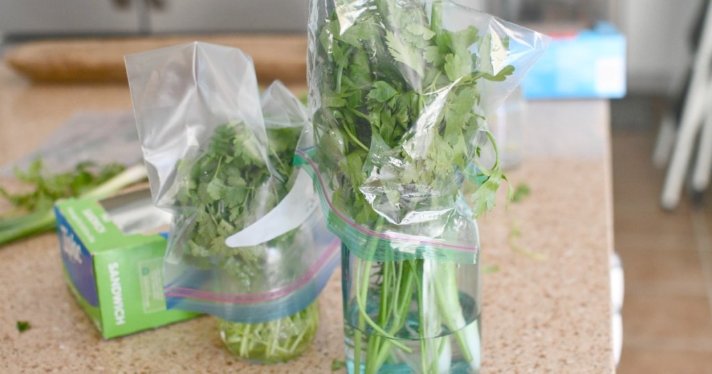 keeping herbs in jars with water