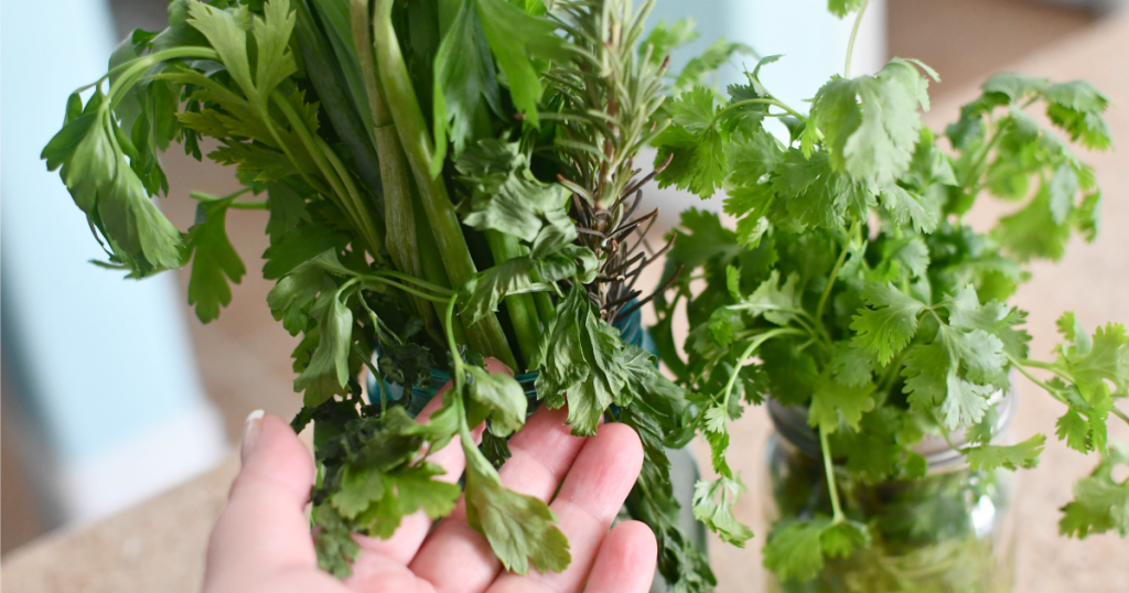 testing herbs stored in mason jars