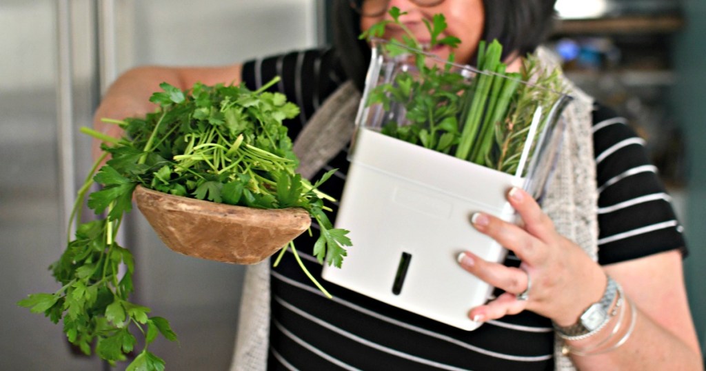 woman holding fresh herbs and an herb keeper