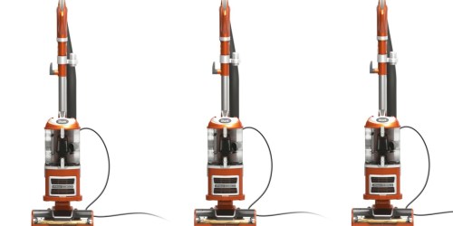 Shark Navigator Upright Vacuum Only $98 Shipped on Walmart.online (Regularly $199)