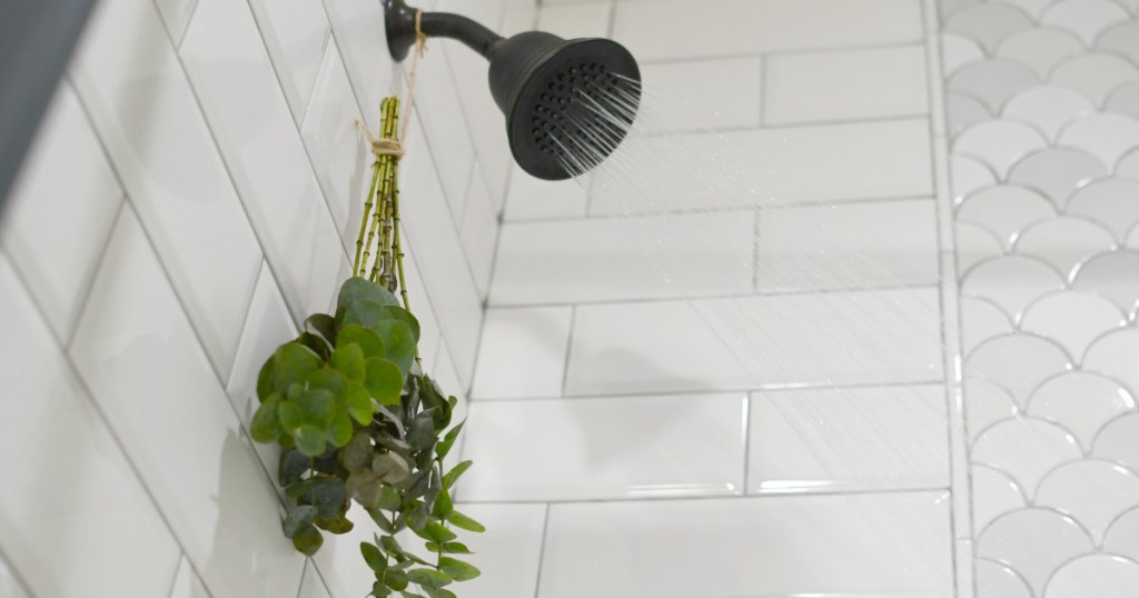 eucalyptus leaves hanging from the shower