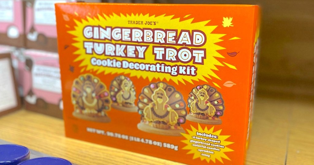 Trader Joe's Gingerbread Turkey Trot Cookie Decorating Kit