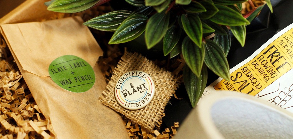 plant club member box with pin