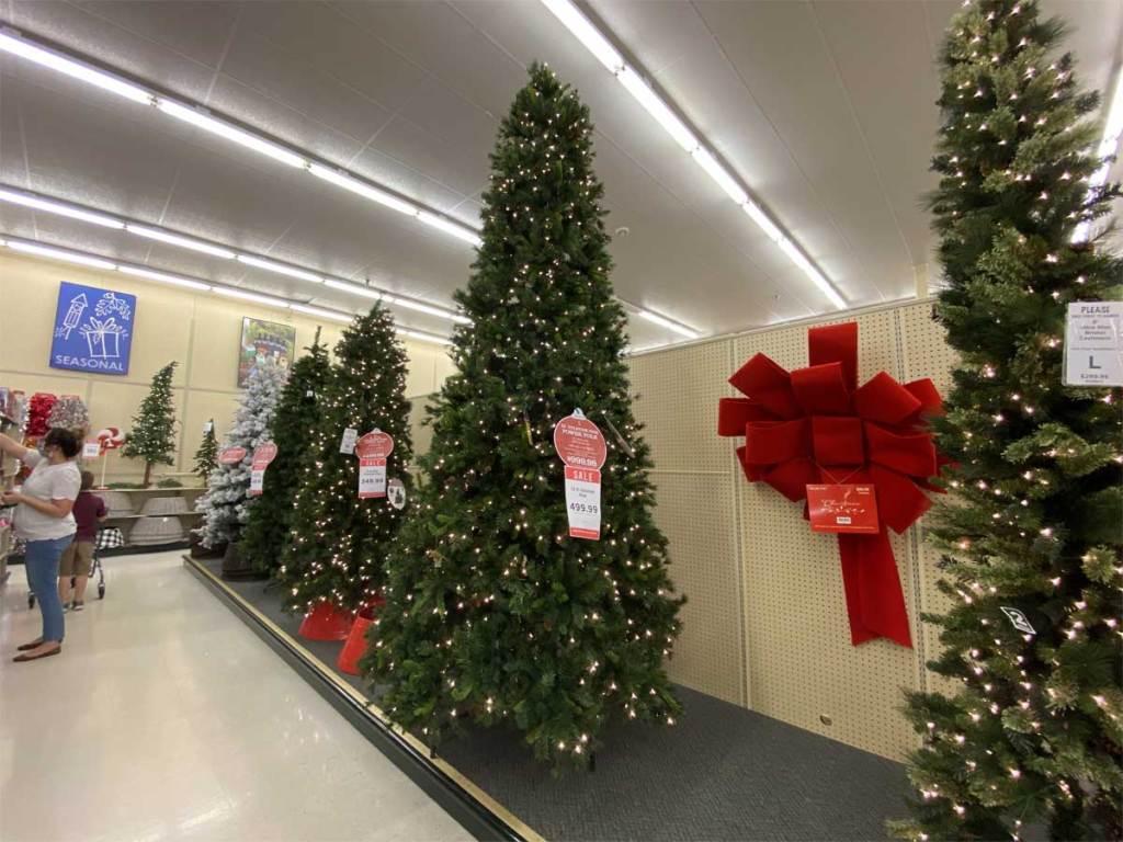 christmas trees on display in a store