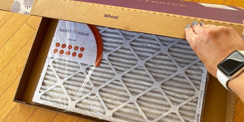 Second Nature Air Filters from $16 Delivered + Score Your 2nd Shipment for FREE!