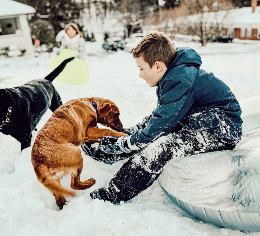 boys wearing kids snow pants playing with dogs in snow