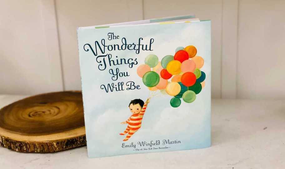 the wonderful things you will be book