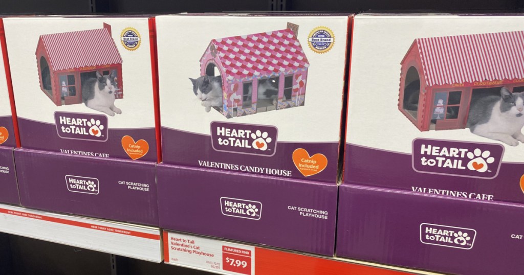 ALDI valentine cat scratching houses