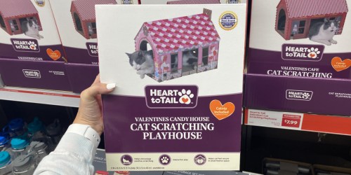 Valentine Cat Scratching Houses Only $7.99 at ALDI