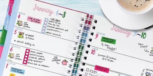 Denise Albright Studios Binder Planner Only $8.97 Shipped