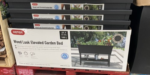 Keter 27.7-Gallon Elevated Garden Bed Only $89.98 at Sam’s Club | In-Store & Online