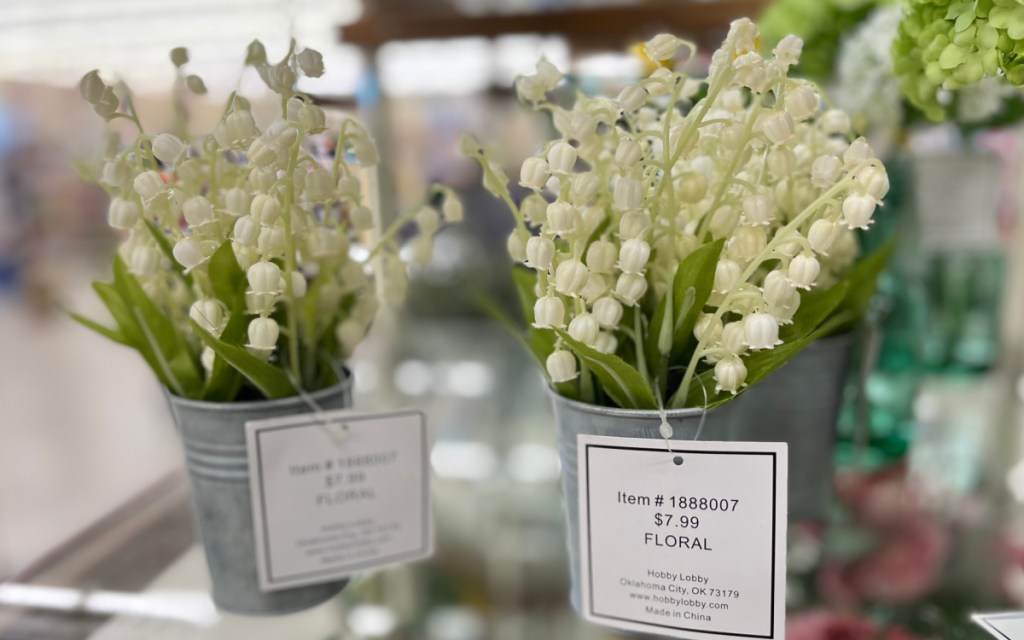 Lily Of The Valley In Metal Pot