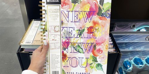 Stay Organized w/ Pembrook 12-Month Specialty Planners for Only $7.99 at ALDI