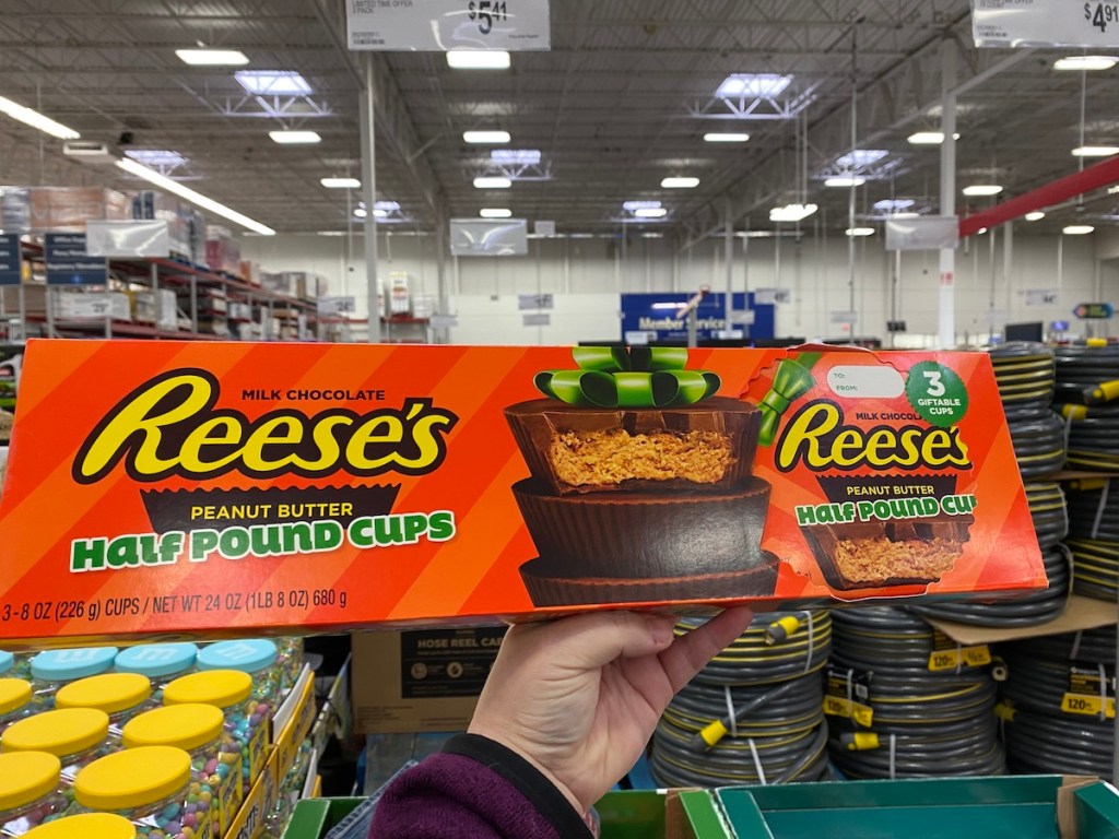 Reese's Half Pound Cups