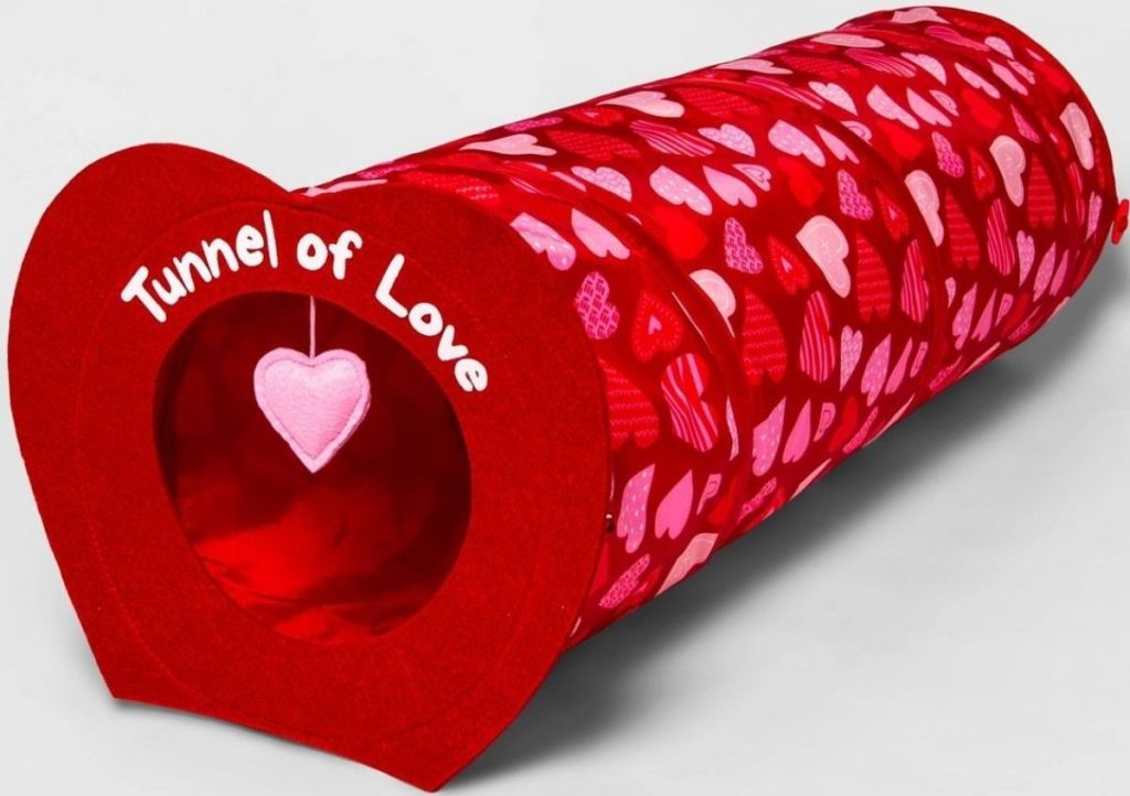 Tunnel of Love Cat Toy