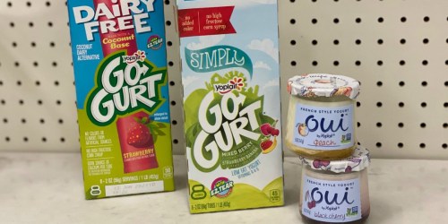 New Yoplait Coupons = Go-GURT 8-Packs Just 87¢ Each at Target