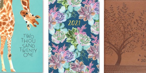 2021 Planners from $7.49 on Barnes & Noble (Regularly $15) | So Many Cute Options!