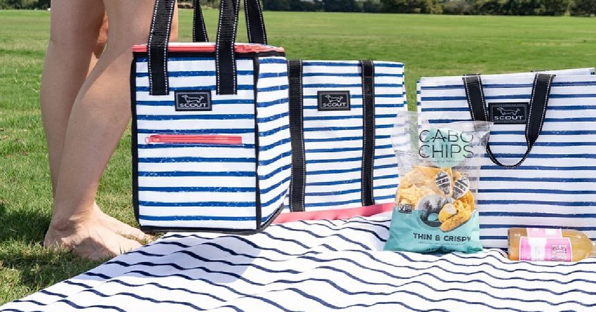 60% Off Scout Bags Coolers, Totes & More