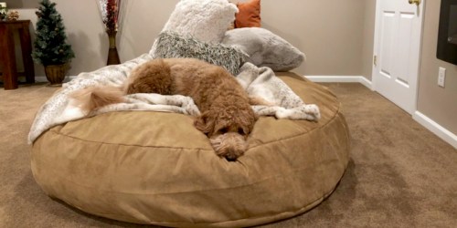 8 Lovesac Bean Bag Alternatives That Will Save You Hundreds of Dollars!