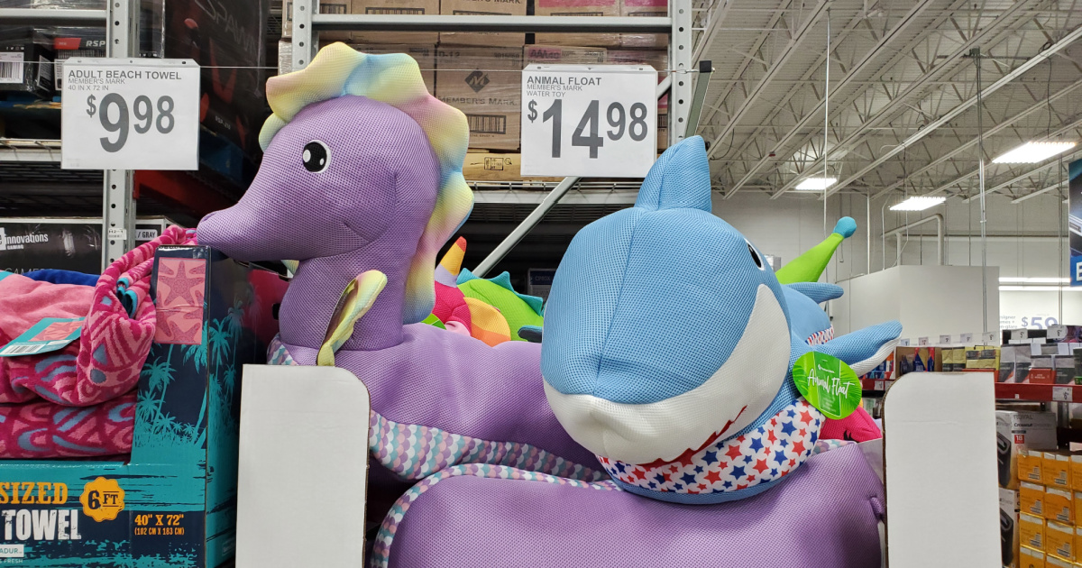 seahorse and shark pool floats on display at sams club