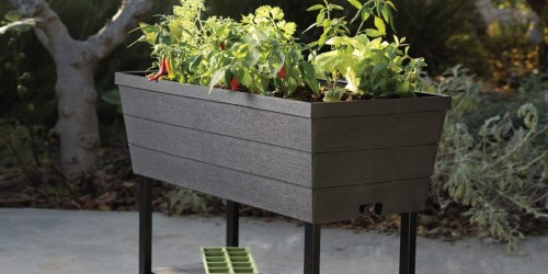 Keter Raised Garden Bed Only $69.98 on HomeDepot.online