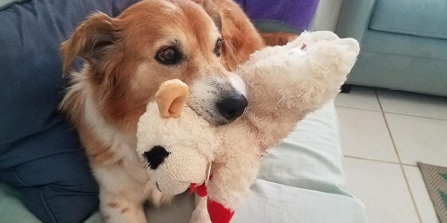 Lamb Chop Dog Toy Only $3.49 Shipped on Amazon – Today ONLY!