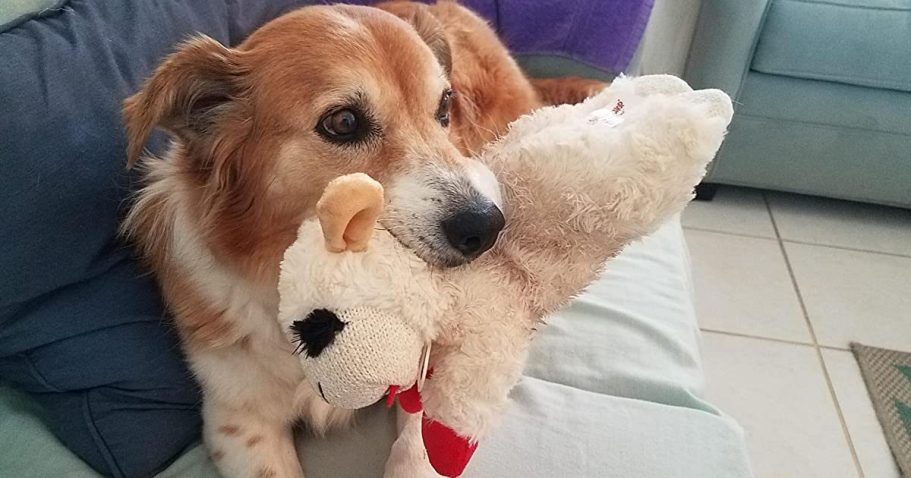 Lamb Chop Dog Toy Only $3.49 Shipped on Amazon – Today ONLY!