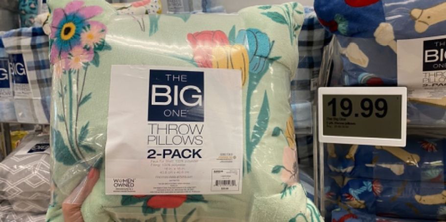 Kohl’s Big One Throw Pillow 2-Packs from $7 (ONLY $3.50 Each)