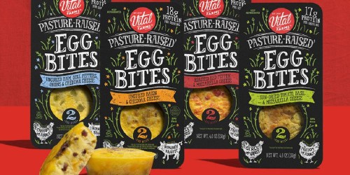 FREE Vital Farms Egg Bites Coupon Available to Print (Today Only)