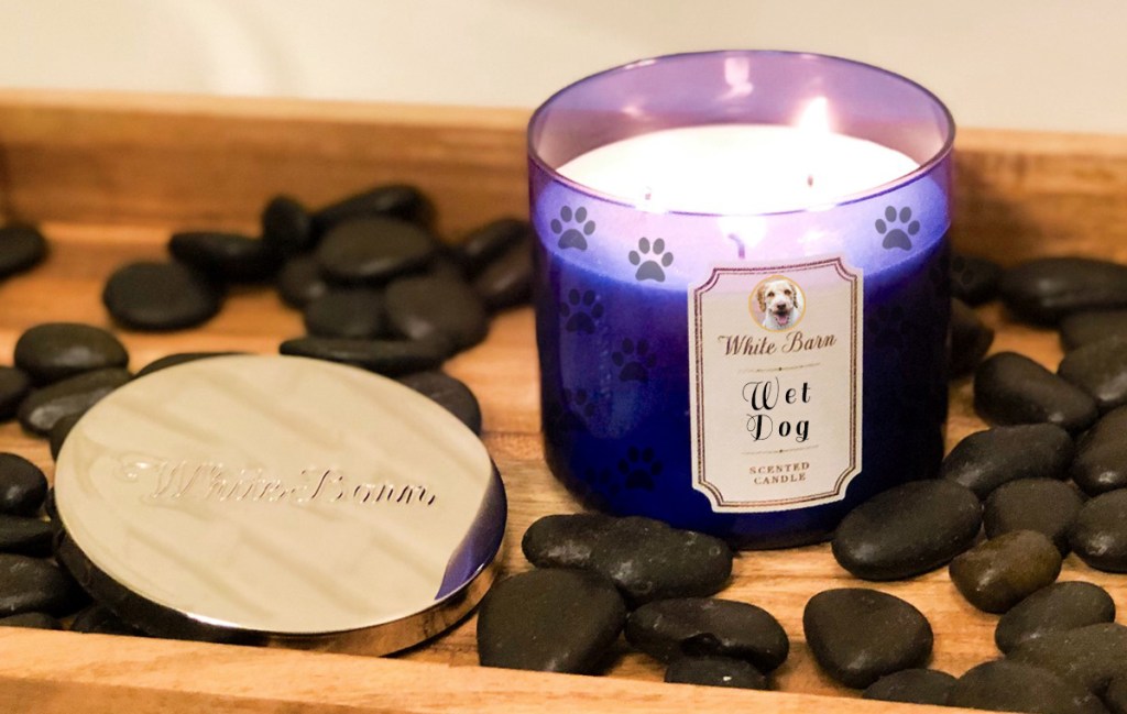 wet dog candle