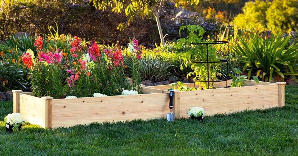 raised garden bed