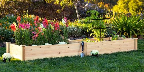 Raised 8’x2′ Garden Bed Only $89.99 Shipped (Regularly $120)