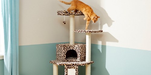 Up to 60% Off Cat Trees & Condos + Free Shipping