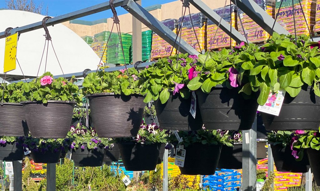 hanging flower baskets at home depot