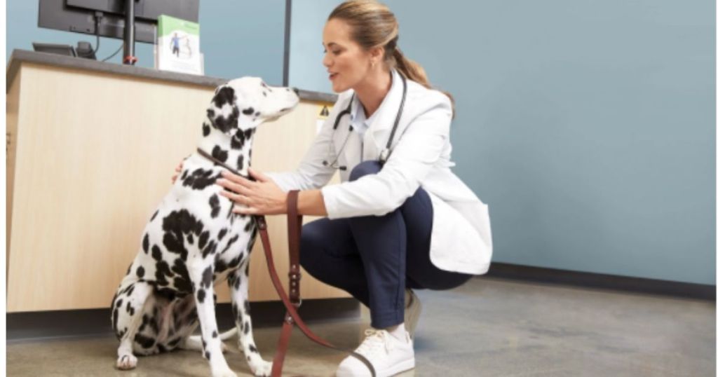 Petco Vital Care Lady Vet Visit w dalmation