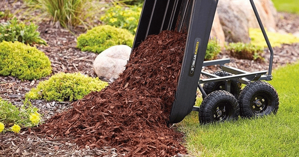 man standing next to a bag of mulch