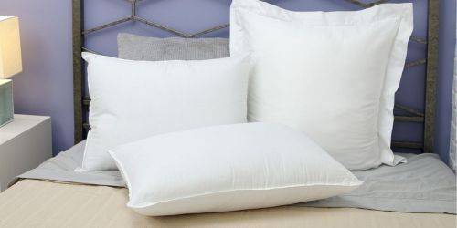 SensorPEDIC Pillows from $12 on Kohls.online | Cooling & Lavender-Infused Options