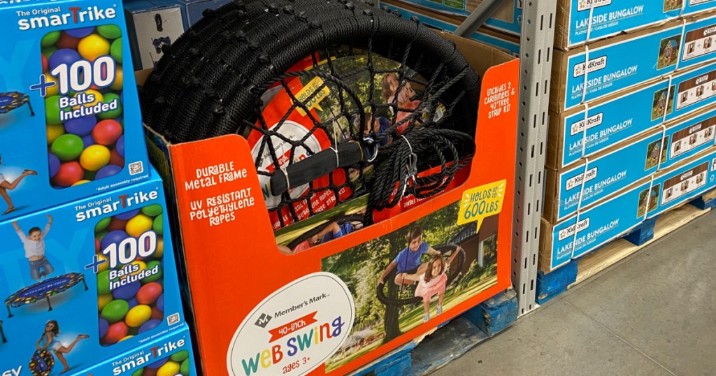 Webbed Swing from Sam's Club