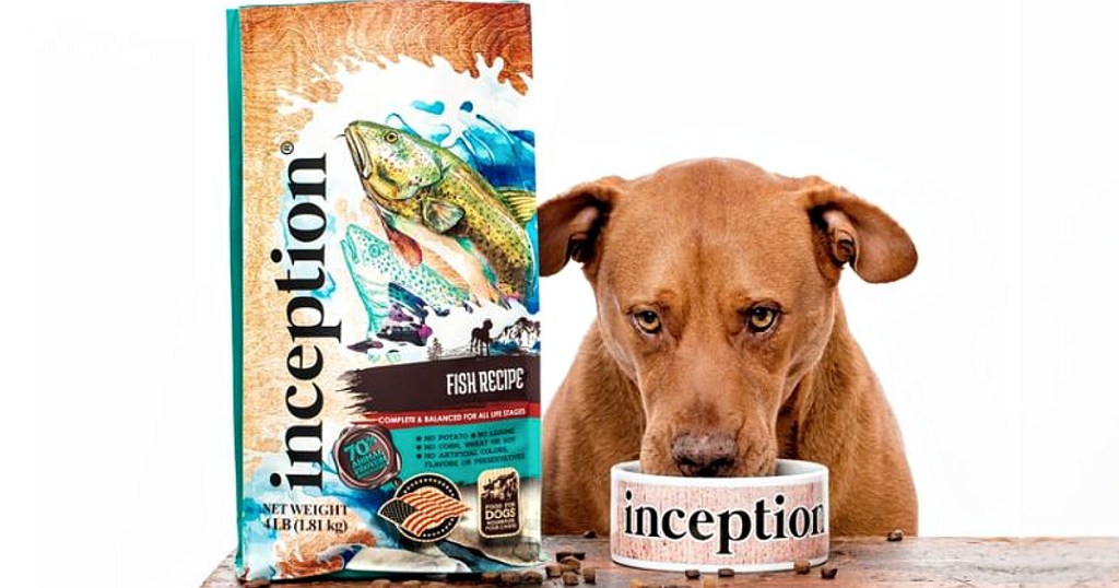 dog eating inception pet food